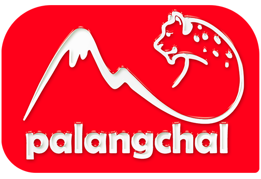 لوگو پلنگچال | palangchall logo